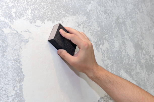 Best Real Estate Mold Inspection  in Mission, OR