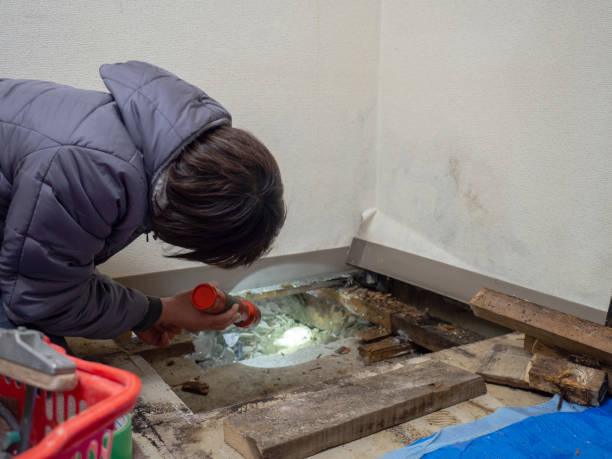 Best Emergency Mold Remediation  in Mission, OR