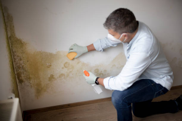 Best Mold Removal for HVAC Installations  in Mission, OR