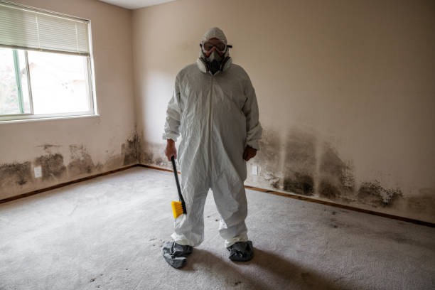 Best Mold Prevention Services  in Mission, OR