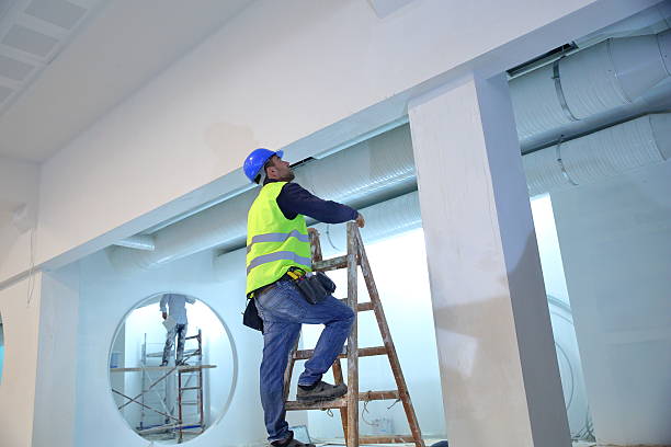 Best Black Mold Removal  in Mission, OR